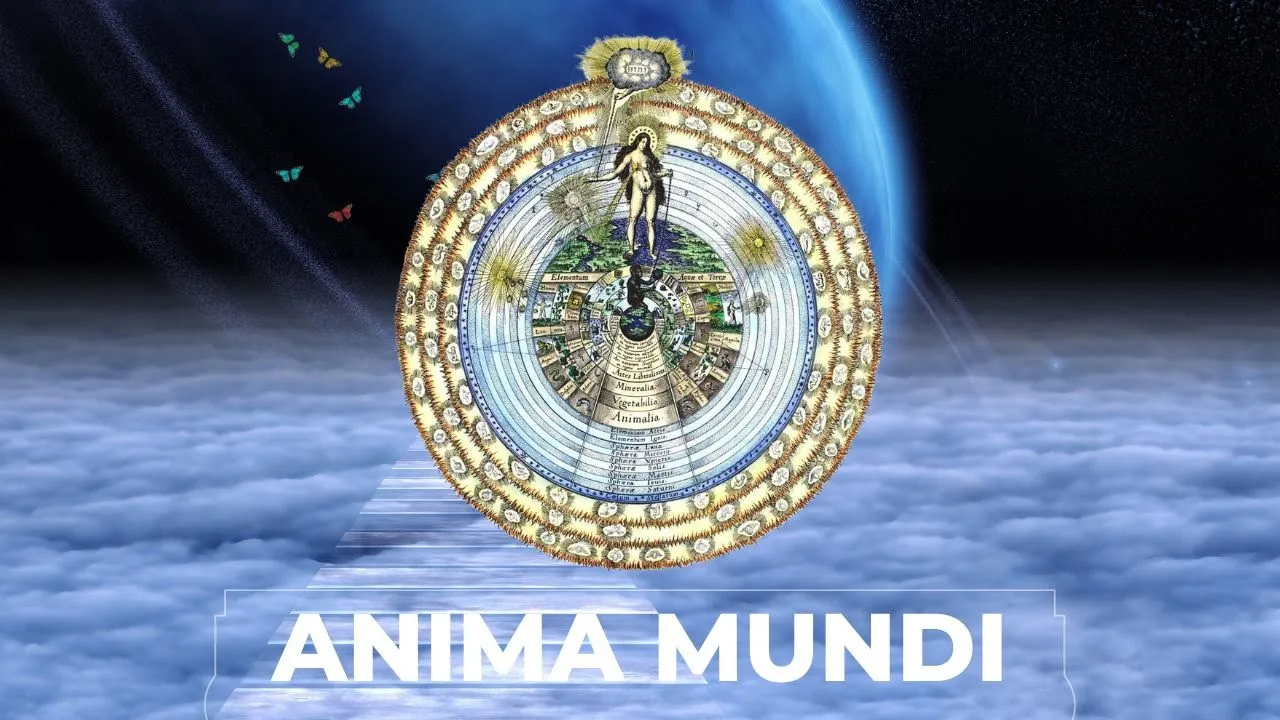 What Is Anima Mundi? Occultism And The World Soul 3 What Does Anima Mundi Mean Anima Mundi in Occultism