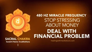 Stop Stressing About Money - Deal with Financial Problem 480 Hz Miracle Sacral Chakra Frequency (I)