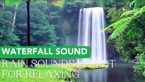 Rain Sounds Effect for Relaxing - Waterfall Sounds Calm Music for Meditation (Part 2)